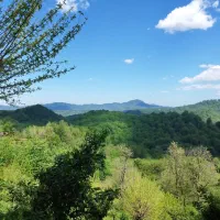 زمین بزرگ لاهیجان با خانه و باغ ویو ابدی|فروش زمین و ملک کلنگی|لاهیجان, کوه بیجار|دیوار