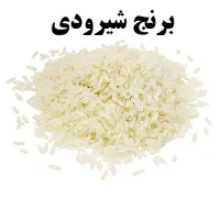 برنج شیرودی