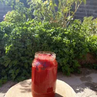 رب خانگی