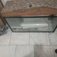 آکواریوم ماهی