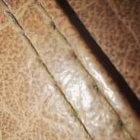 چمدان بزرگ|کیف، کفش، کمربند|شیراز, عفیف‌آباد|دیوار