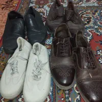 تمیز|کیف، کفش، کمربند|بیرجند, |دیوار