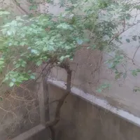 میدان فردوسی خانه دربست در سه ط و یک زیر زمین|اجارهٔ خانه و ویلا|تهران, فردوسی|دیوار