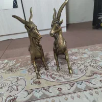 مجسمه های برنز (گرگ،بز )|مجسمه، تندیس، ماکت|تهران, شهرک آسمان|دیوار