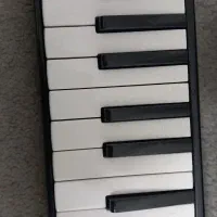 ملودیکا (سوان)مدل black-Rt45|سازهای بادی|تهران, پونک|دیوار