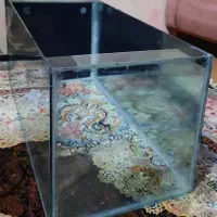 اکواریوم یک متری مفت