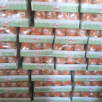 همکاری با سرمایه گذار و شریک جدی