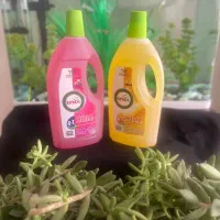 آنتی باکتریال لینکس