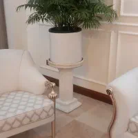 گل طبیعی نخل نیکلای و شامادورا|گل و گیاه طبیعی|تهران, امام زاده قاسم (نیاوران)|دیوار