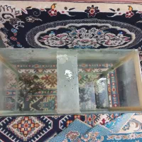 اکواریوم
