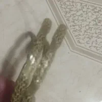 طلا