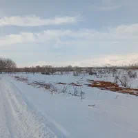 زمین کشاورزی سند دار