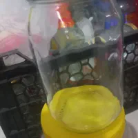 ظرف نگهدارنده