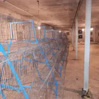 قفس منبری سالم ۶۰۰۰ سر