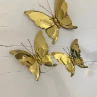 پروانه برنزی