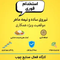 استخدام نیروی mdf کار