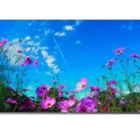 تلویزیون 55 اینج درحد آک  با ضمانت