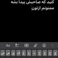 گربه پبدا شده