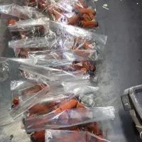 سنسور اکسیژن استوک اروپایی با ضمانت|قطعات یدکی و لوازم جانبی|قزوین, |دیوار