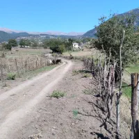 زمین|فروش زمین و ملک کلنگی|تالش, تالش|دیوار