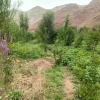 مشارکت در تاسیس بومگردی در فیروزکوه