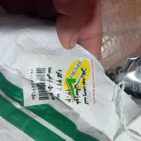 بذر کلزا هایولا ۵۰|گل و گیاه طبیعی|انبارآلوم, |دیوار