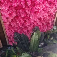 گیاهان مصنوعی و کربن وال سبز و رنگی