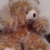 عروسک خرسی بجای مواد غذایی