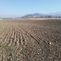 500-متر-زمین-بایر-کشاورزی-در-دستجرد-خلجستان-قم