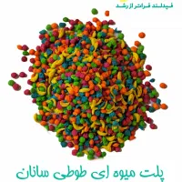 پلت طوطیسانان