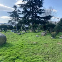 جویای کار شیفت صبح