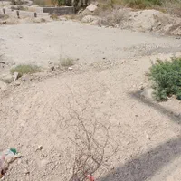 فروش مغازه ۹۰ متری عنبراباد ( بیمارستان جدید )|فروش مغازه و غرفه|جیرفت, |دیوار