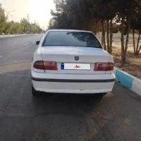 سمند سفید
