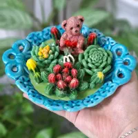 کاکتوسهای فانتزی|کلکسیون و سرگرمی|قم, هنرستان|دیوار