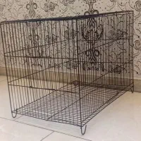 قفس برای پرنده