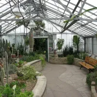 کارگرجهت گلخانه