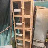 تعدادی جفت کن