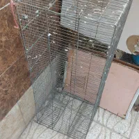 قفس پرنده