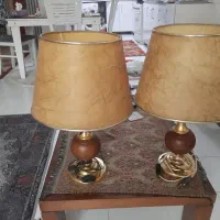 دو عدد اباژور روشن و کاملا سالم