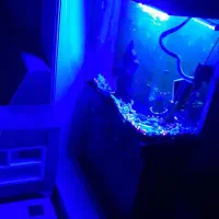 اکواریوم شیشه منحنی