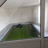 ویلای استخردار با جکوزی|اجارهٔ کوتاهمدت ویلا و باغ|چاف و چمخاله, |دیوار