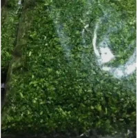 سبزی خورشتی، کوکو،آشی،سوپی