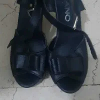 کفش نوسایز۳۷