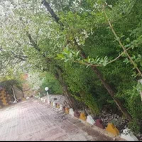 اجاره ویلا سوئیت نظام آباد|اجارهٔ کوتاه‌مدت ویلا و باغ|بروجرد, |دیوار