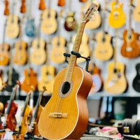 گیتار پارسی