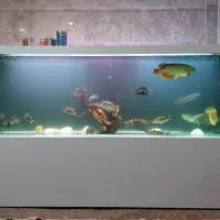 اکواریوم بزرگ