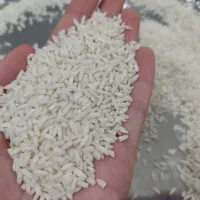 برنج علی کاظمی