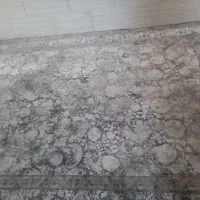 دو عدد فرش|فرش|تاکستان, |دیوار