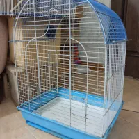 دو عدد قفس|لوازم جانبی حیوانات|مشهد, مشکینی (شهرک غرب)|دیوار