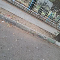 گمشده